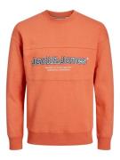 Jack & Jones Jorlakewood sweat crew neck bf jnr -