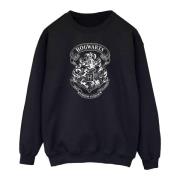 Harry Potter Dames sweatshirt met zweinsteinmotief