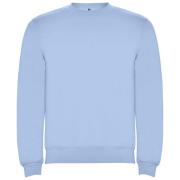 Roly Kinderen/kinderen clasica sweatshirt met ronde hals