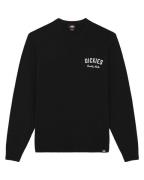 Dickies Sweatshirt dk0a4z7bblk1