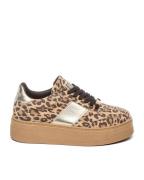 Steve Madden Sneakers sm11003414 moxy