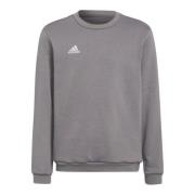 Adidas Kinderen/kinderen entrada 22 sweatshirt