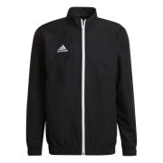 Adidas Heren entrada 22 presentatiejas