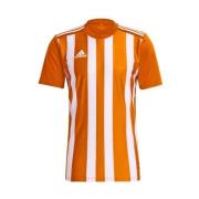 Adidas Heren 21 h35642 gestreepte trui