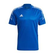Adidas Heren condivo 21 training jersey