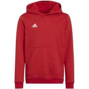 Adidas Kinderen/kinderen entrada 22 hoodie
