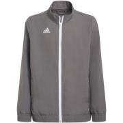 Adidas Kinder/kinder entrada 22 presentatiejasje