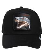 Goorin Bros. Muts/pet ss25-101 the vic.