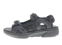 Xsensible Timor