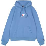 Champion Heren 220268 hoodie