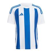 Adidas Kinder/kids 24 gestreepte trui