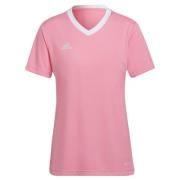 Adidas Dames entrada 22 jersey