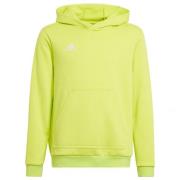 Adidas Kinderen/kinderen entrada 22 hoodie