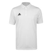 Adidas Heren entrada 22 poloshirt