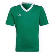 Adidas Kinderen/kinderen entrada 22 t-shirt
