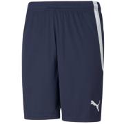Puma Heren team liga korte broek