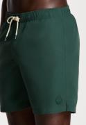 Shiwi 1525107100 mike short 7034 green leaf swim short