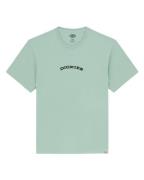 Dickies T-shirt korte mouw dk0a4z8pk361
