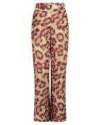 Aaiko Pantalon frederique tiger
