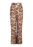 Aaiko pant giani tiger vis 100538 citrus