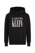 Calvin Klein Serif font graphic hoodie
