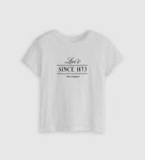 Levi's graphic boxy tshirt levis a8804 0037