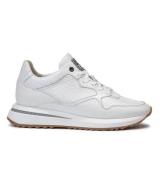 Floris van Bommel Sfw-10119