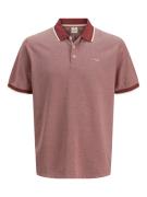 Jack & Jones Jprblualves ss polo sn
