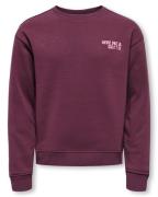 Only Sweat 15343016 kogcamin