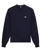 Dickies Sweatshirt dk0a87opl181