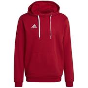 Adidas Heren entrada 22 hoodie