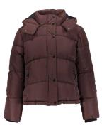 Frankie & Liberty Jack fl25801